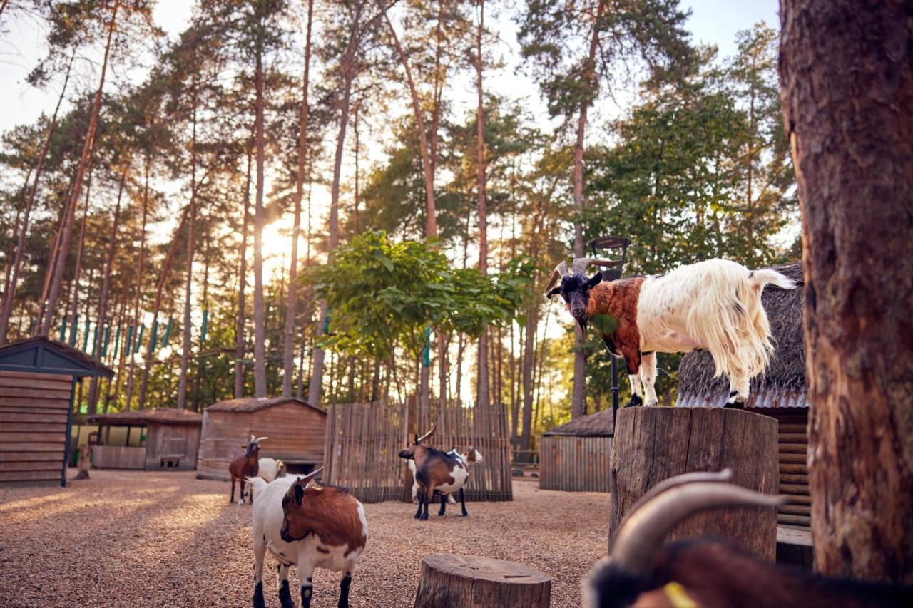 Center Parcs Les Hauts De Bruyeres Chaumont-sur-Tharonne Eksteriør bilde