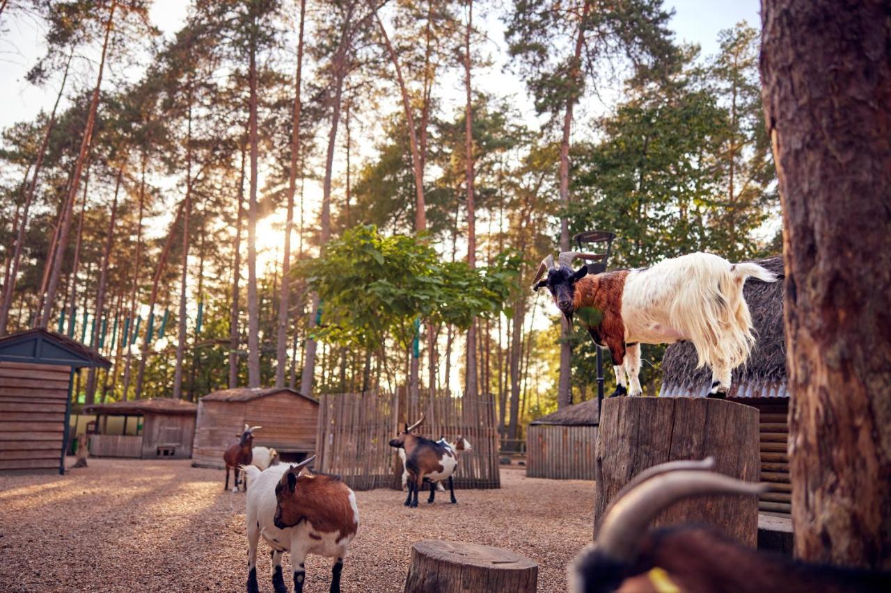 Center Parcs Les Hauts De Bruyeres Hotell Chaumont-sur-Tharonne Eksteriør bilde